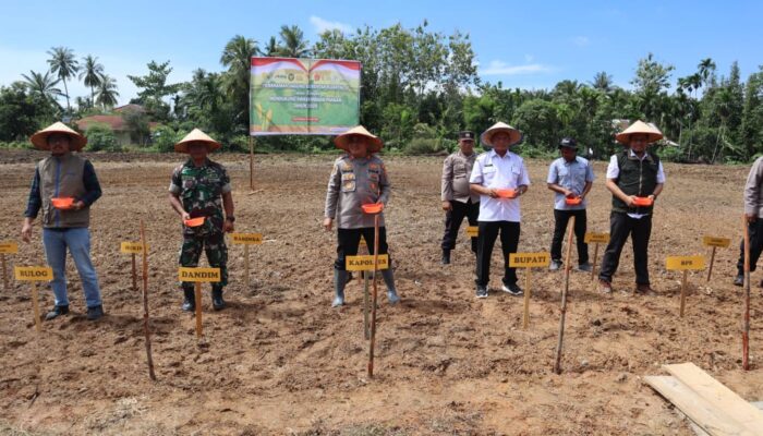 Polres Aceh Tamiang Tanam Jagung Serentak