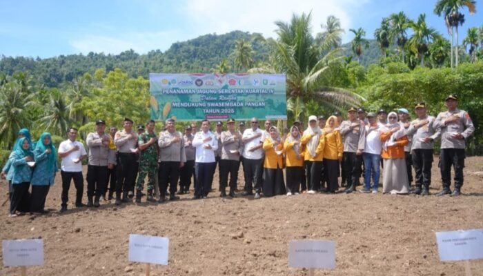 Sabang Gencarkan Swasembada Pangan Dengan Penanaman Jagung Serentak