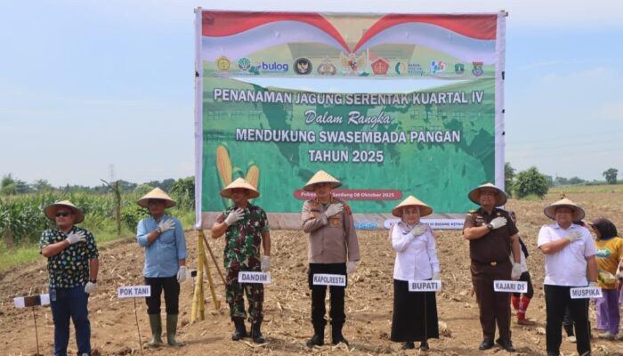 Polresta Deliserdang Gelar Penanaman Jagung Serentak Di Tanjungmorawa