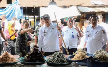 Toko TOPPIS Diharap Mampu Tekan Harga Cabai Dan Stabilkan Inflasi