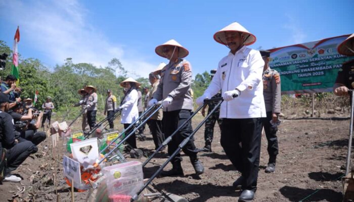 Wakil Bupati Aceh Besar Dampingi Kapolda Tanam Jagung Serentak Kuartal IV