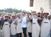 Panen Brokoli Hingga Ayam Petelur, Menko Pangan Tinjau Program Pemberdayaan PNM