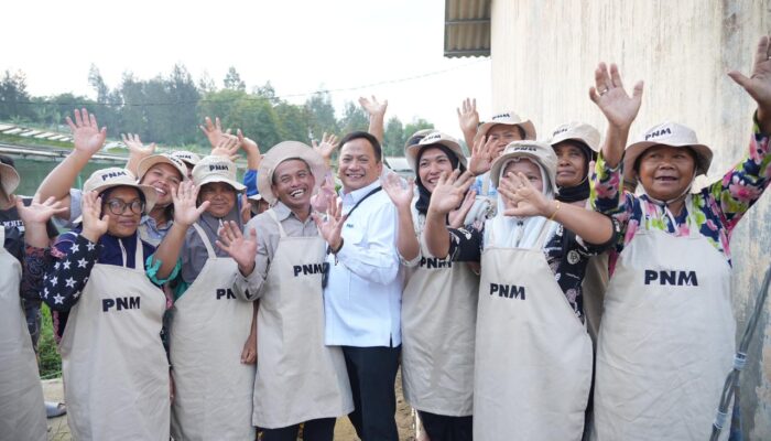 Panen Brokoli Hingga Ayam Petelur, Menko Pangan Tinjau Program Pemberdayaan PNM