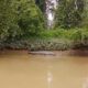 Nelayan Besitang Temukan Buaya Di Pinggiran Pantai