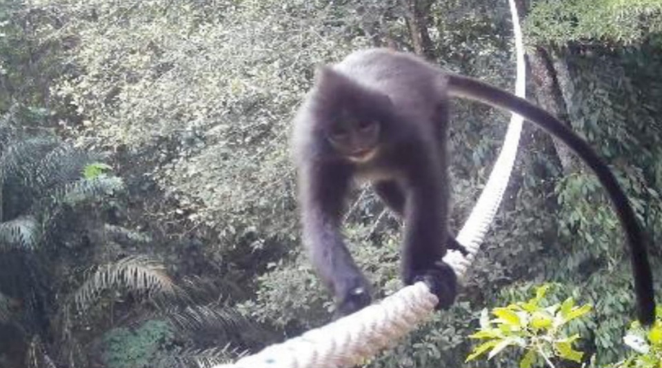 PTAR Dan Upaya Perlindungan Keanekaragaman Hayati