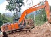 PETI Di Mandailing Natal: Ancaman Jadi Peluang Ekonomi?