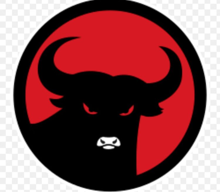 Kader PDI Perjuangan Padang Lawas Ingin Wajah Baru Pimpin DPC