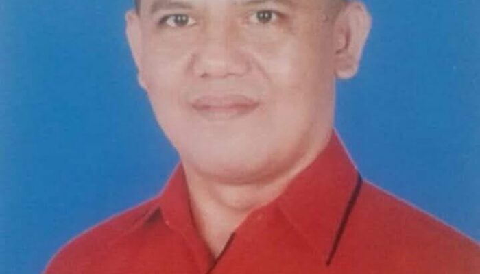 Putra Halomoan Hasibuan Siap Pimpin DPC PDIP Padang Lawas