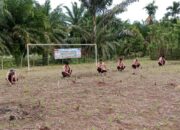 Pramuka Aceh Tamiang Tanam Jagung 