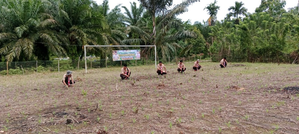 Pramuka Aceh Tamiang Tanam Jagung 