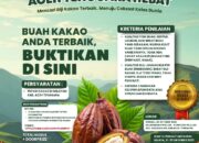 Kabar Gembira, Kontes Buah Kakao Aceh Tenggara Hebat Akan Digelar