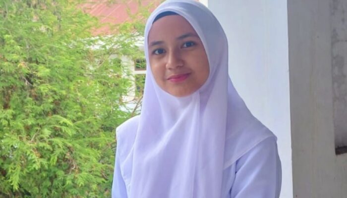 Membangun Kewarganegaraan Bermoral Di Era Digital: Refleksi Pemikiran Marshall Dan Turner Untuk Indonesia 2025