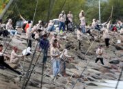 Sukses Hadirkan 1000 Pemancing, Laut Gampong Jawa Jadi Investasi Wisata Bahari