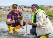 Wakil Bupati Pidie Tanam 1.500 Bibit Mangrove Di Pantai Tanjung Harapan