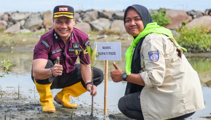 Wakil Bupati Pidie Tanam 1.500 Bibit Mangrove Di Pantai Tanjung Harapan