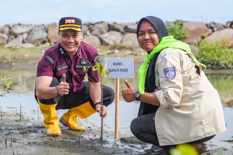Wakil Bupati Pidie Tanam 1.500 Bibit Mangrove Di Pantai Tanjung Harapan