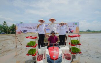 Semangat kolaborasi menjadi motor penggerak pencapaian ketahanan pangan dan pengendalian inflasi pangan di Sumatera Utara melalui program pengembangan klaster padi yang diawali dengan tanam bersama “Kick Off Pengembangan Klaster Padi Gapoktan Oryza Sativa Kabupaten Deli Serdang dan Gapoktan Mulia Tani Kabupaten Langkat”.