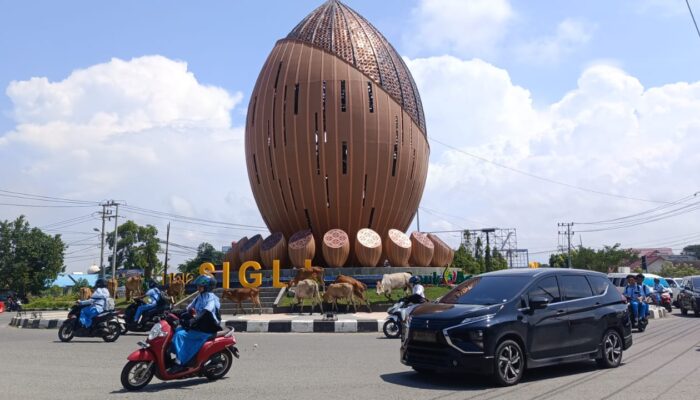 Sapi Di Bundaran Tugu Aneuk Mulieng, Ketika Ruang Hijau Menjadi Padang Gembala