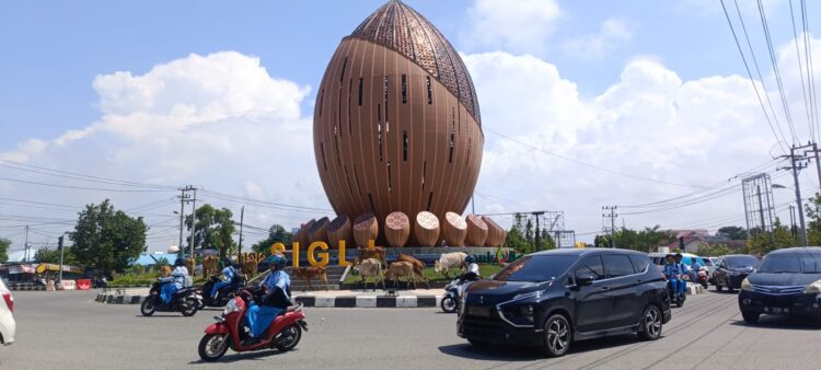 Sapi Di Bundaran Tugu Aneuk Mulieng, Ketika Ruang Hijau Menjadi Padang Gembala