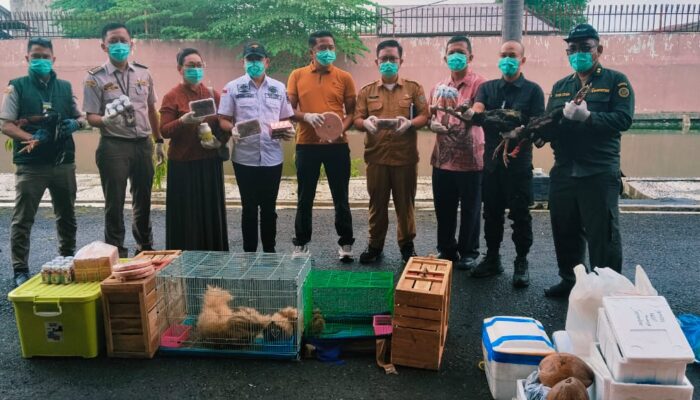 Karantina Dan Bea Cukai Sumut Musnahkan Komoditas Tanpa Dokumen Karantina
