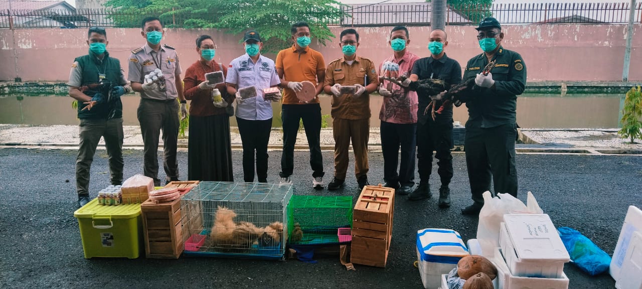 Karantina Dan Bea Cukai Sumut Musnahkan Komoditas Tanpa Dokumen Karantina