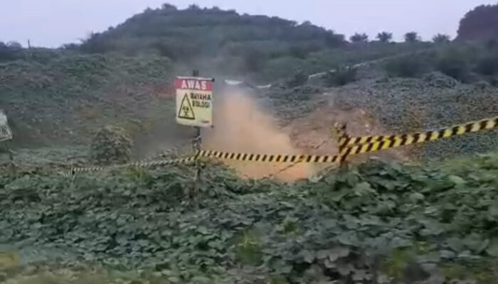 Pipa Gas Bocor Di Kebun Sawit PTPN I Regional 6