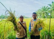 Peringati Hari Pangan Sedunia, PMP Harap Sinergi Kuat Wujudkan Ketahanan Pangan Nasional