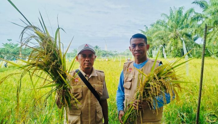 Peringati Hari Pangan Sedunia, PMP Harap Sinergi Kuat Wujudkan Ketahanan Pangan Nasional