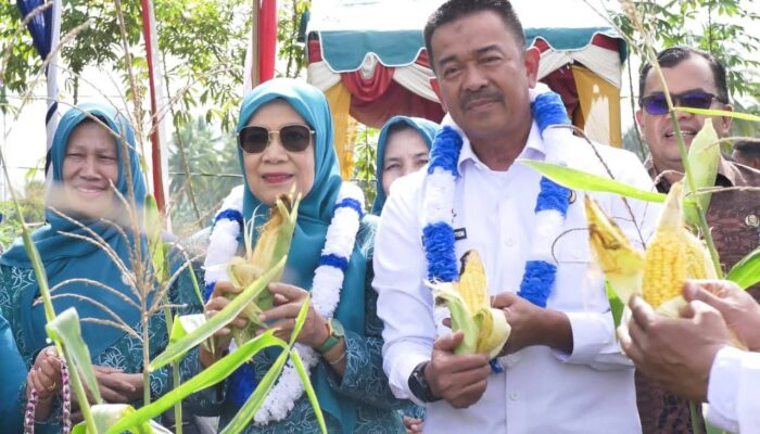 Dua Desa Di Madina Masuk Nominasi Lomba TP PKK Sumut Tahun 2025