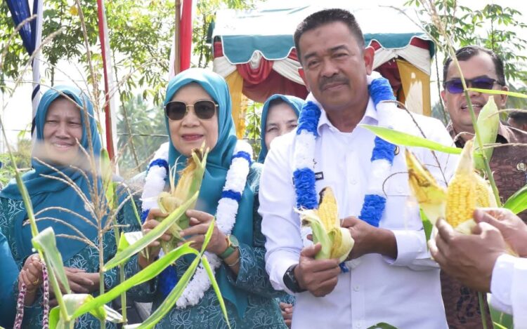 Dua Desa Di Madina Masuk Nominasi Lomba TP PKK Sumut Tahun 2025