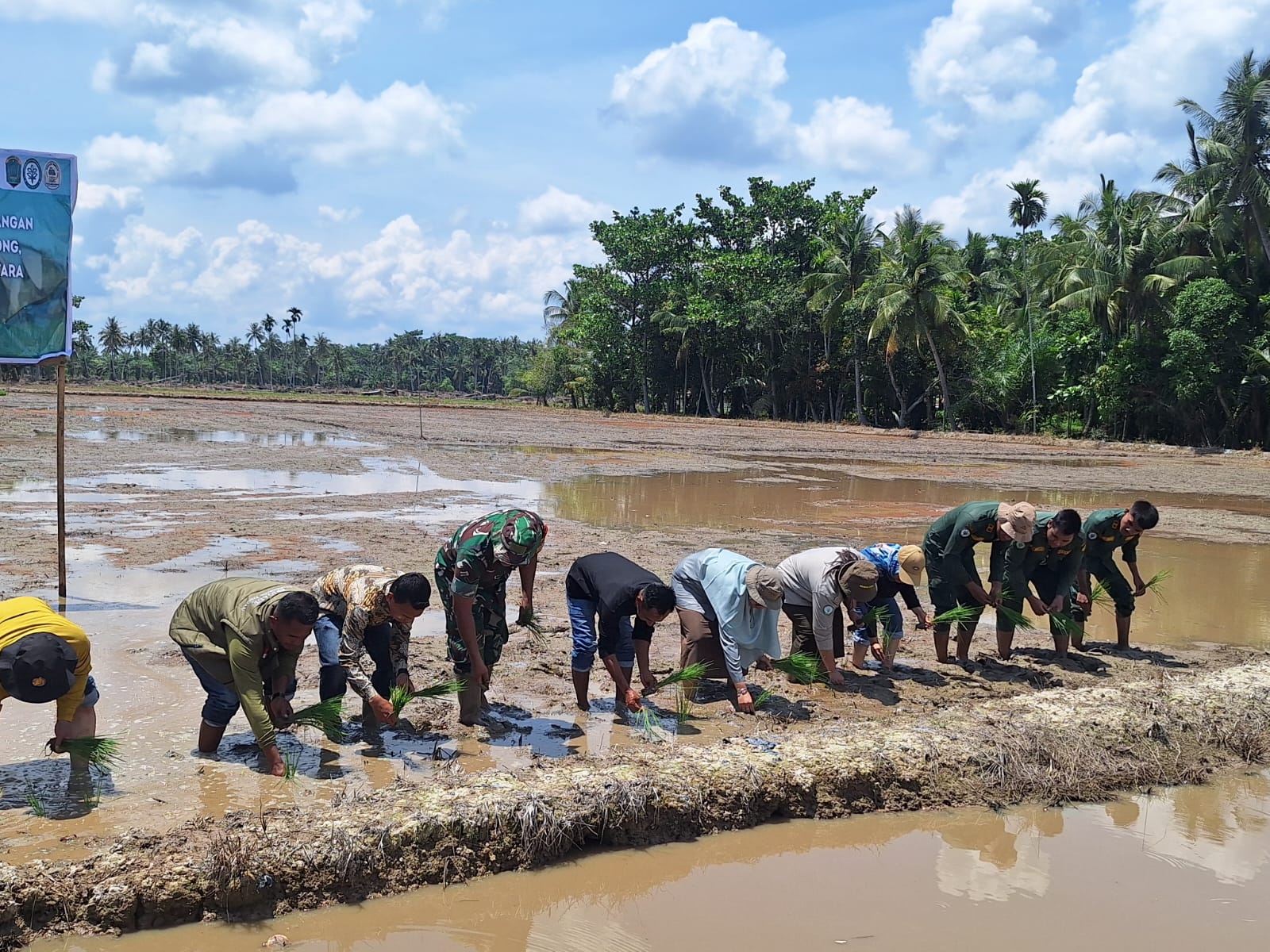 Dukung Swasembada, Brigade Pangan Tanam Bersama Penangkar Benih