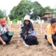 PTAR Gandeng Petani Tapsel Tanam Jagung Di Lahan Seluas 20 Hektare