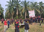 PT BSP Kisaran Lakukan Penertiban Aset