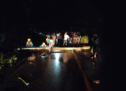 Tiang Listrik Dan Pohon Karet Tumbang, Lalu Lintas Medan-Padang Terhambat