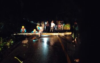 Tiang Listrik Dan Pohon Karet Tumbang, Lalu Lintas Medan-Padang Terhambat