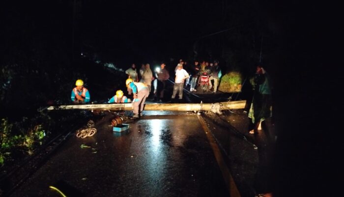 Tiang Listrik Dan Pohon Karet Tumbang, Lalu Lintas Medan-Padang Terhambat