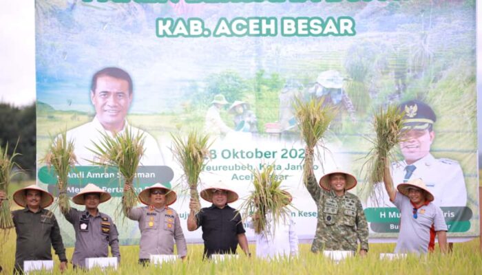 Bupati Muharram Idris Panen Padi Bersama Kementan RI Di Terbeh