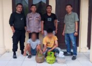 Polsek Langsa Tangkap Spesialis Pembongkar Ruko SWN Kupi