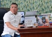 Pemerintah Diminta Evaluasi Seluruh Areal Perkebunan Di Mandailing Natal