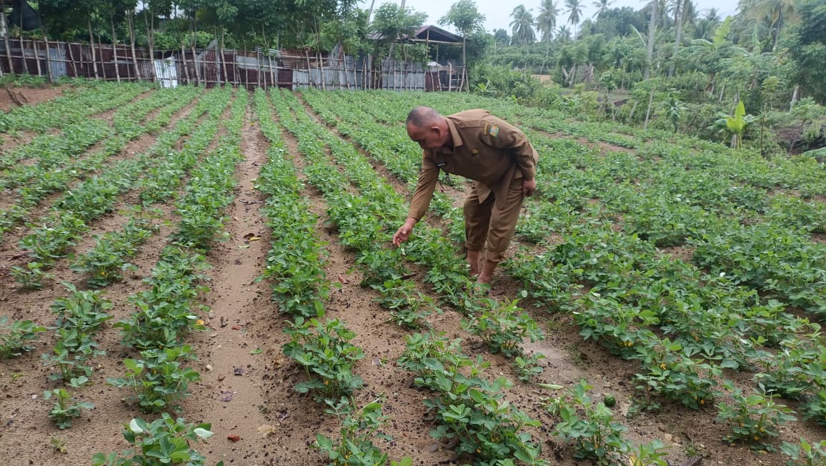 Camat Darul Kamal Ajak Warga Produktifkan Lahan Kosong