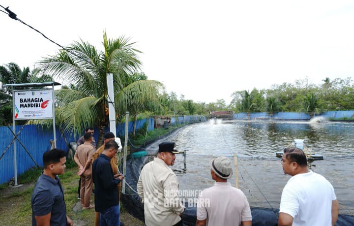 Budidaya Udang Vaname Langkah Nyata Wujudkan Ketahanan Pangan