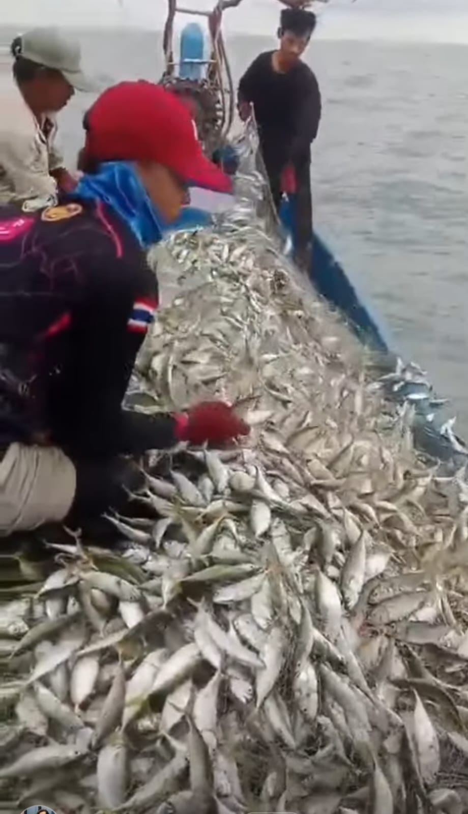 Pelindo Regional 1 Bawa Harapan Baru bagi Nelayan Batubara