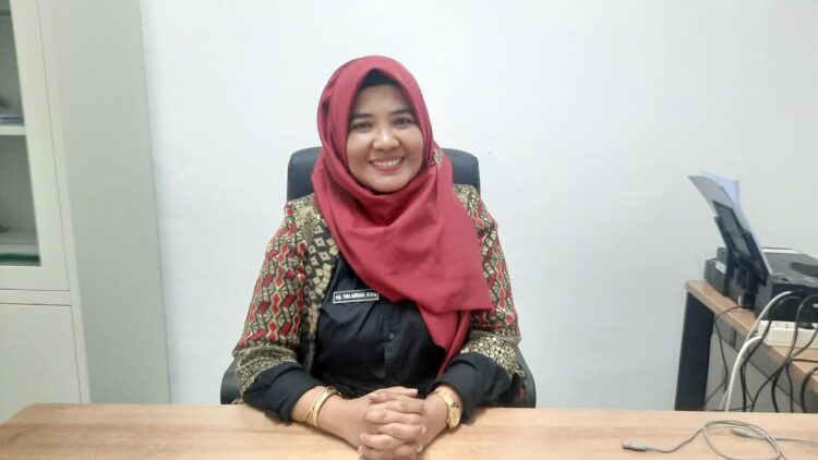 Kesiapan RSUD Kota Medan dalam UHC, BLUD Dan Regulasi Rujukan Berbasis Kompetensi, Konsep IDRG Dan KRIS