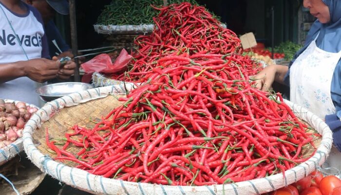 Borong 50 Ton Cabai Merah Dari Jawa Timur, Pemprovsu Dinilai Gagal