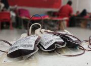 Alfamidi Gelar Donor Darah, Hasilkan Puluhan Kantong Untuk PMI Kota Medan