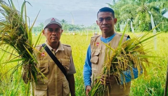 Pengawal Merah Putih Harapkan Waspada.id Terus Sajikan Berita Akurat Dan Mencerahkan