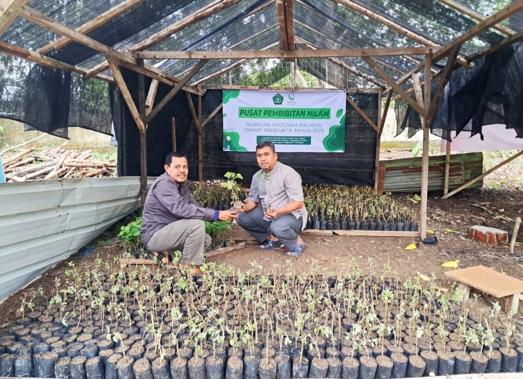YWHA Kembangkan Wakaf Produktif Budidaya Nilam Untuk Pemberdayaan Ekonomi Umat
