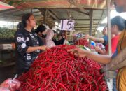 Harga Cabai Merah Turun Setelah Adanya Intervensi