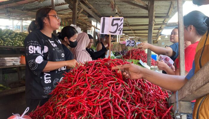 Harga Cabai Merah Turun Setelah Adanya Intervensi