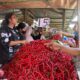 Harga cabai merah di salah satu pasar tradisional di Deliserdang dijual Rp15.000 per 1/4 kg.